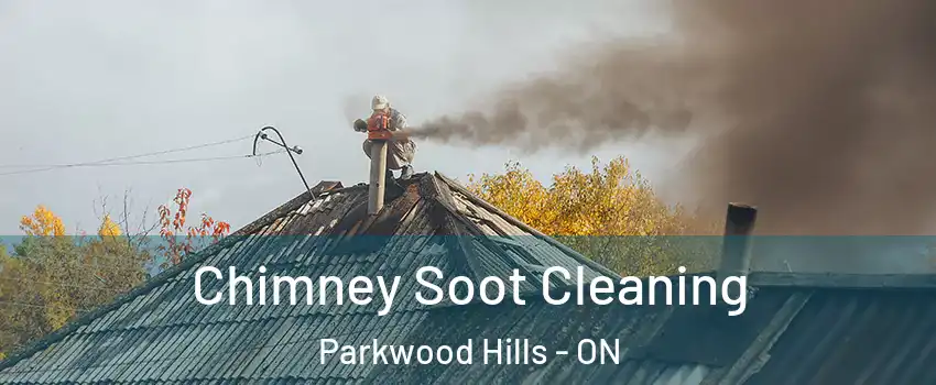  Chimney Soot Cleaning Parkwood Hills - ON
