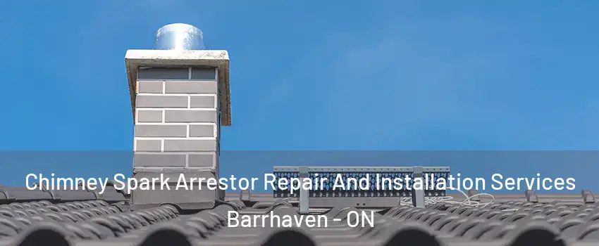  Chimney Spark Arrestor Repair And Installation Services Barrhaven - ON