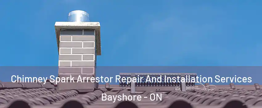 Chimney Spark Arrestor Repair And Installation Services Bayshore - ON