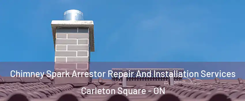  Chimney Spark Arrestor Repair And Installation Services Carleton Square - ON