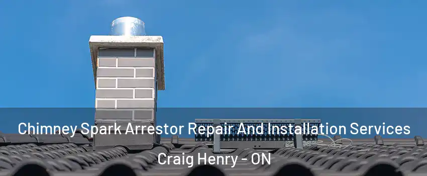  Chimney Spark Arrestor Repair And Installation Services Craig Henry - ON