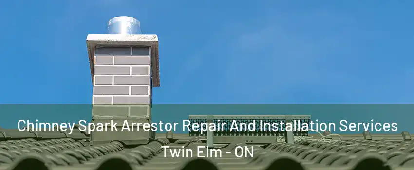  Chimney Spark Arrestor Repair And Installation Services Twin Elm - ON