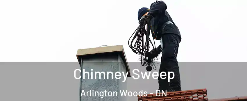  Chimney Sweep Arlington Woods - ON