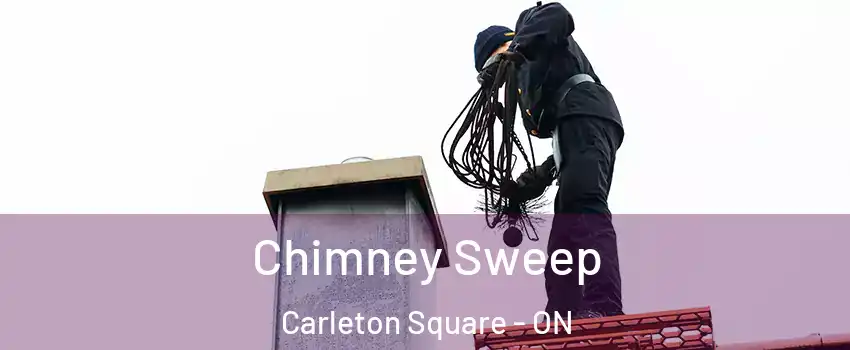  Chimney Sweep Carleton Square - ON