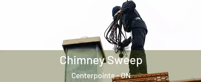  Chimney Sweep Centerpointe - ON