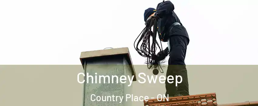  Chimney Sweep Country Place - ON