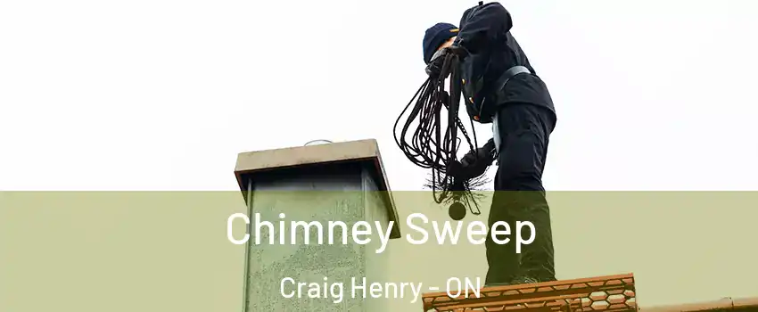  Chimney Sweep Craig Henry - ON