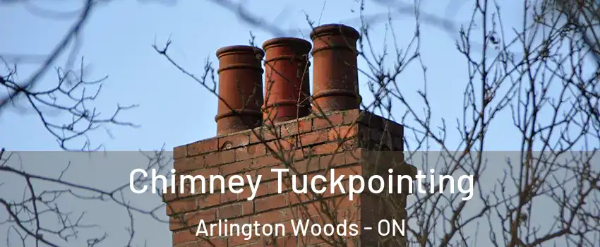  Chimney Tuckpointing Arlington Woods - ON