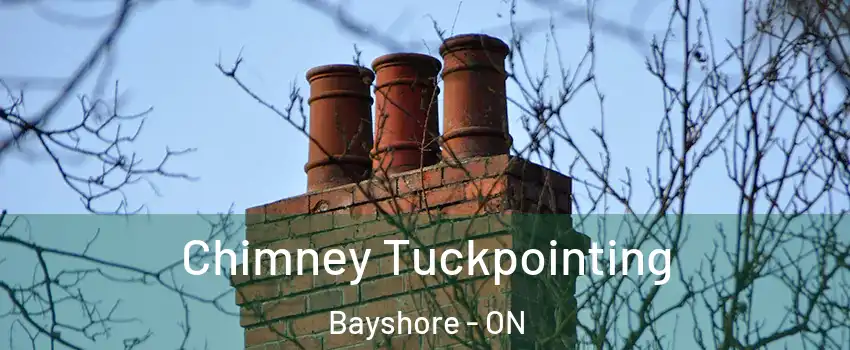  Chimney Tuckpointing Bayshore - ON