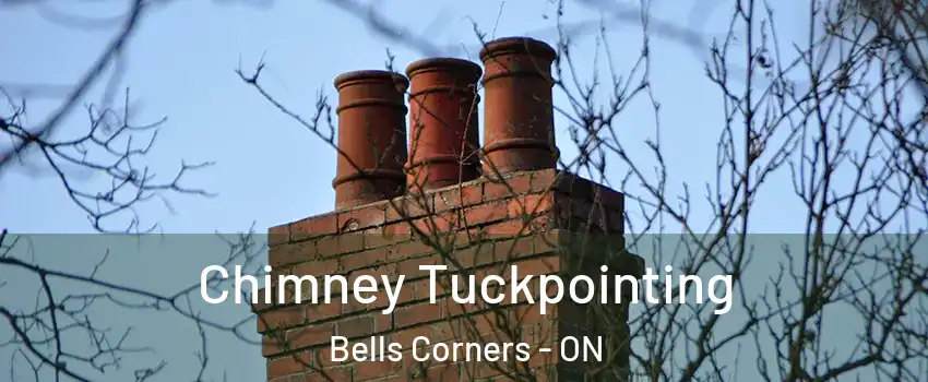  Chimney Tuckpointing Bells Corners - ON