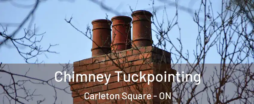  Chimney Tuckpointing Carleton Square - ON