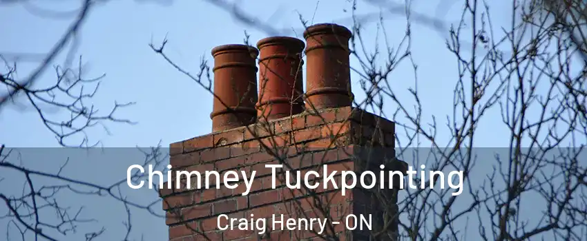  Chimney Tuckpointing Craig Henry - ON