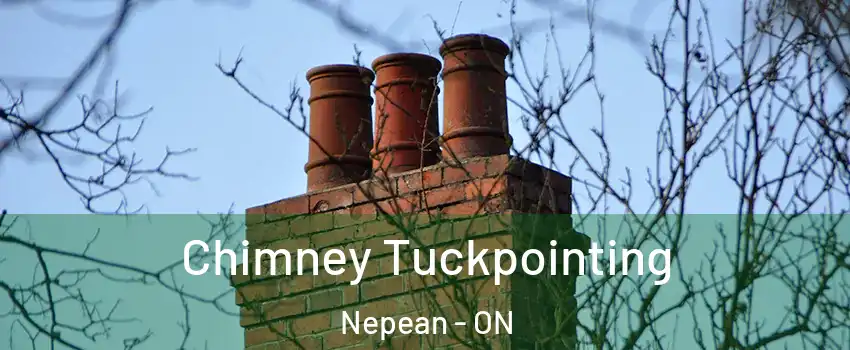  Chimney Tuckpointing Nepean - ON