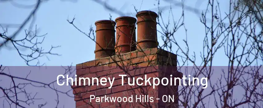  Chimney Tuckpointing Parkwood Hills - ON