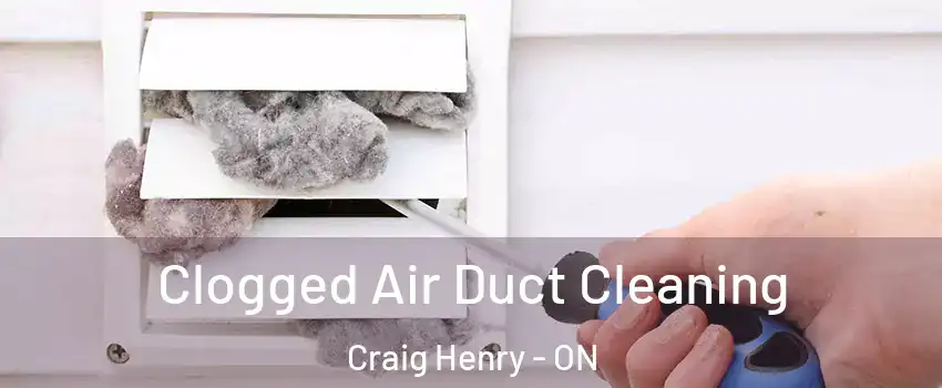  Clogged Air Duct Cleaning Craig Henry - ON