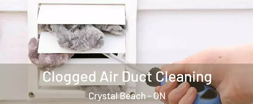 Clogged Air Duct Cleaning Crystal Beach - ON