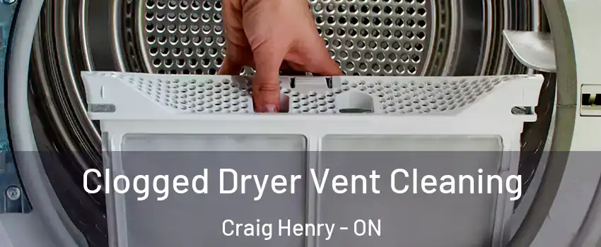  Clogged Dryer Vent Cleaning Craig Henry - ON