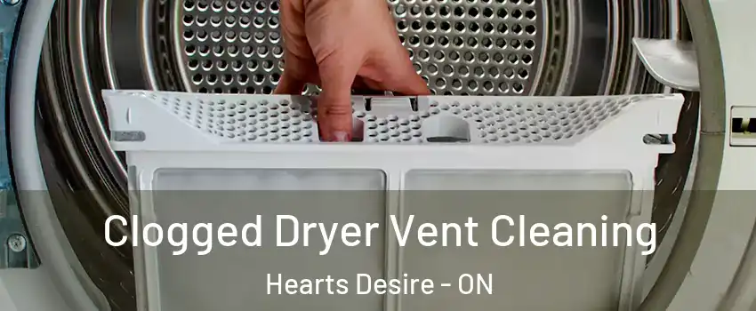  Clogged Dryer Vent Cleaning Hearts Desire - ON