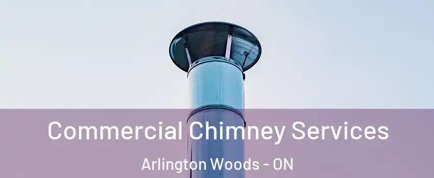  Commercial Chimney Services Arlington Woods - ON