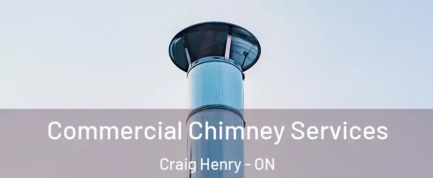  Commercial Chimney Services Craig Henry - ON