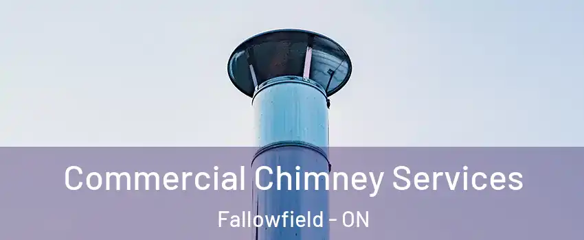  Commercial Chimney Services Fallowfield - ON