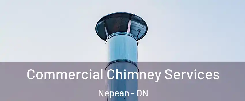  Commercial Chimney Services Nepean - ON