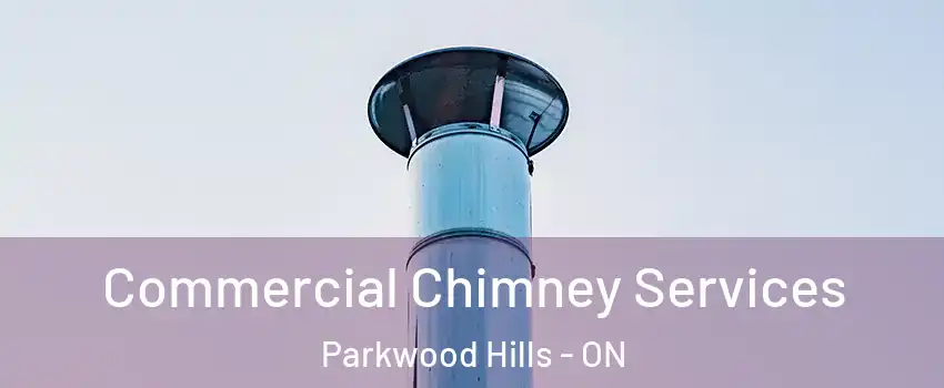  Commercial Chimney Services Parkwood Hills - ON