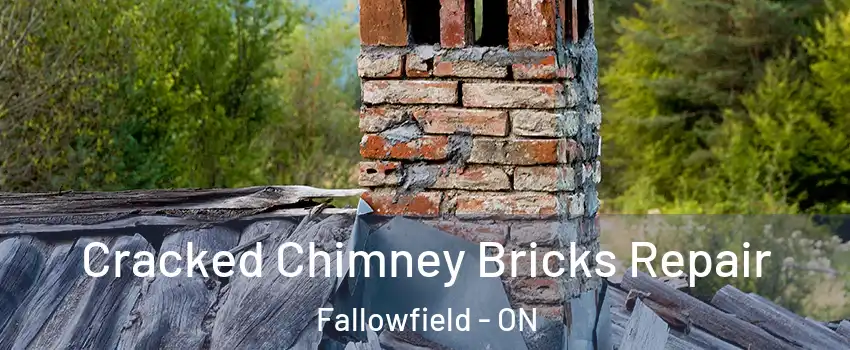 Cracked Chimney Bricks Repair Fallowfield - ON