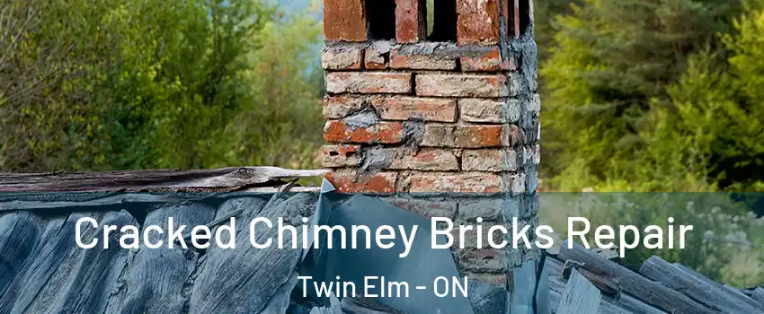  Cracked Chimney Bricks Repair Twin Elm - ON