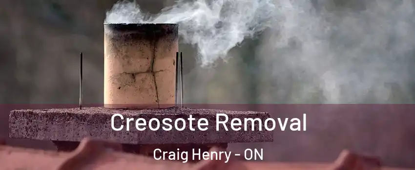  Creosote Removal Craig Henry - ON