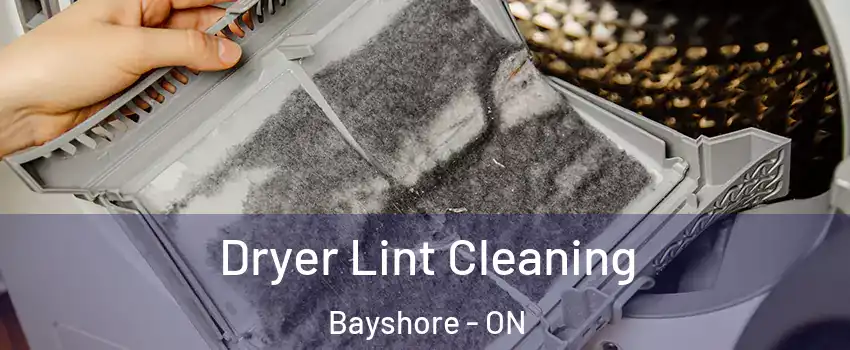  Dryer Lint Cleaning Bayshore - ON