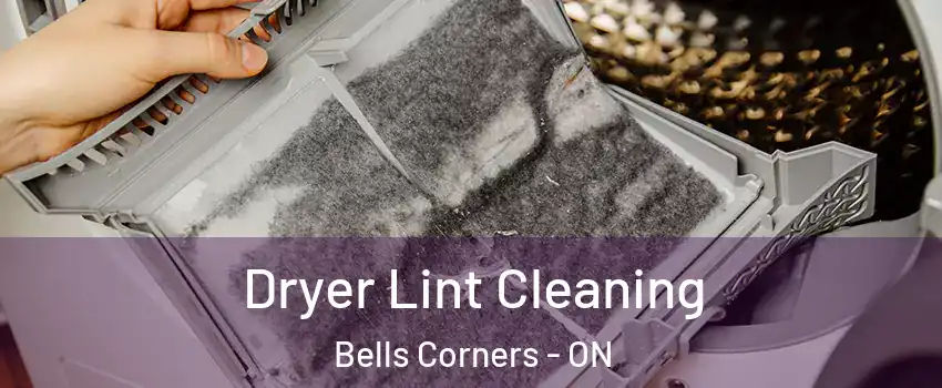  Dryer Lint Cleaning Bells Corners - ON