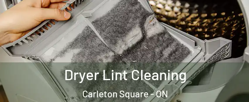  Dryer Lint Cleaning Carleton Square - ON