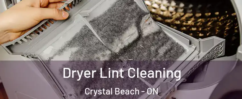  Dryer Lint Cleaning Crystal Beach - ON