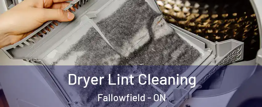  Dryer Lint Cleaning Fallowfield - ON