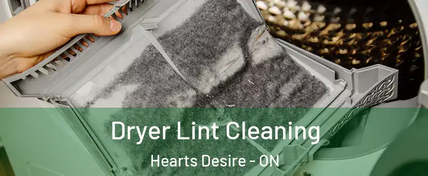  Dryer Lint Cleaning Hearts Desire - ON
