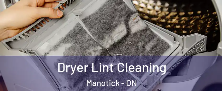  Dryer Lint Cleaning Manotick - ON