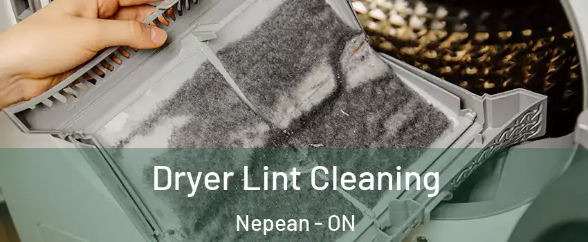  Dryer Lint Cleaning Nepean - ON