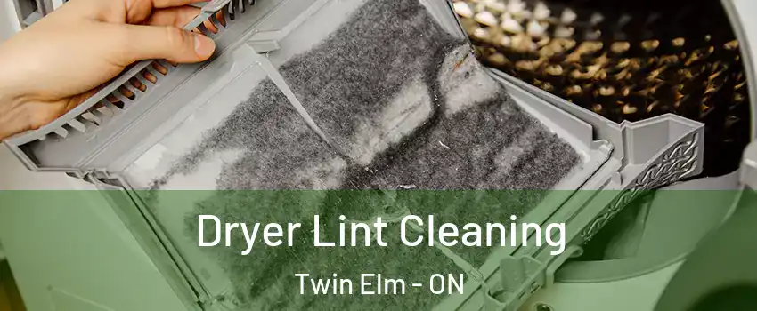  Dryer Lint Cleaning Twin Elm - ON