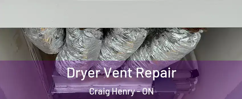  Dryer Vent Repair Craig Henry - ON