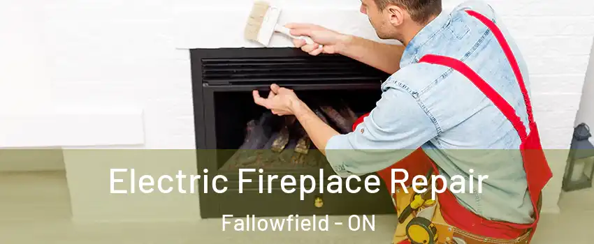  Electric Fireplace Repair Fallowfield - ON