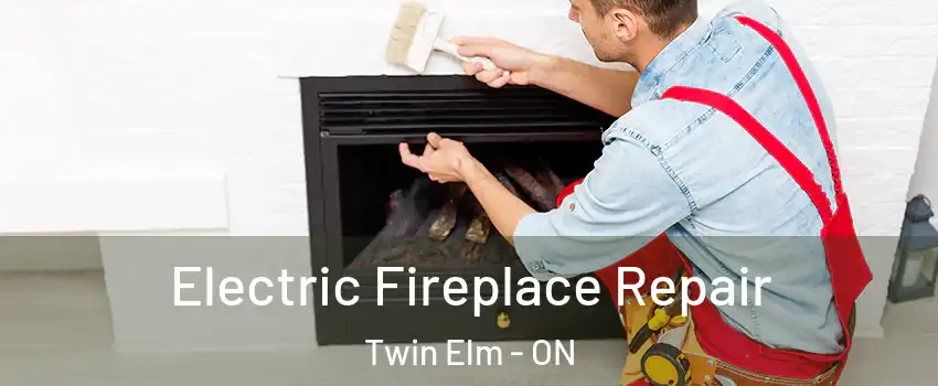  Electric Fireplace Repair Twin Elm - ON