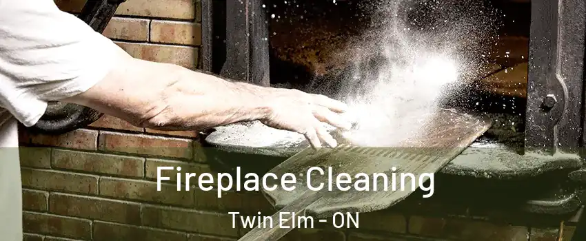  Fireplace Cleaning Twin Elm - ON