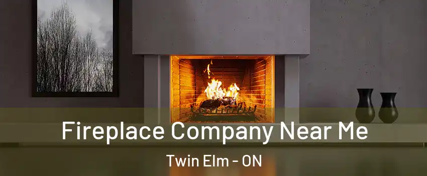  Fireplace Company Near Me Twin Elm - ON