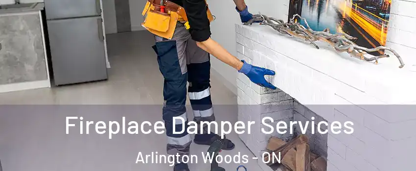  Fireplace Damper Services Arlington Woods - ON