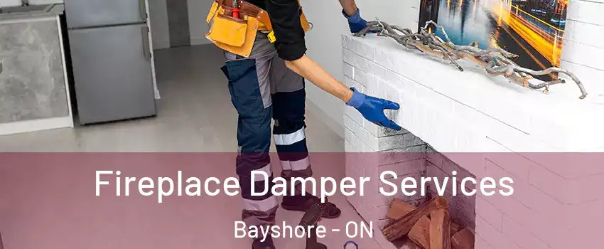  Fireplace Damper Services Bayshore - ON