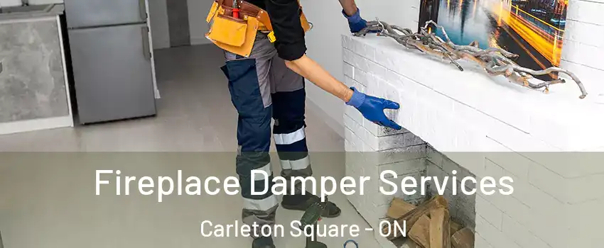  Fireplace Damper Services Carleton Square - ON