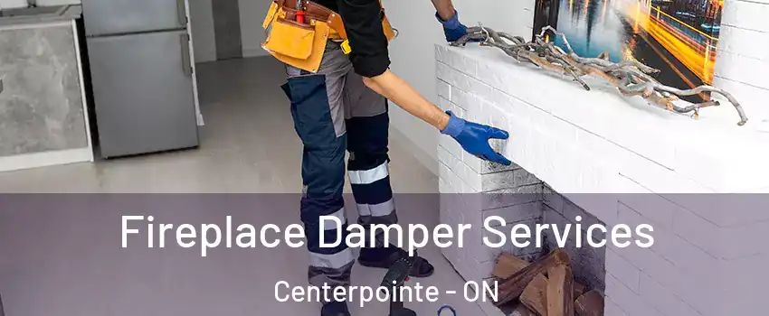  Fireplace Damper Services Centerpointe - ON