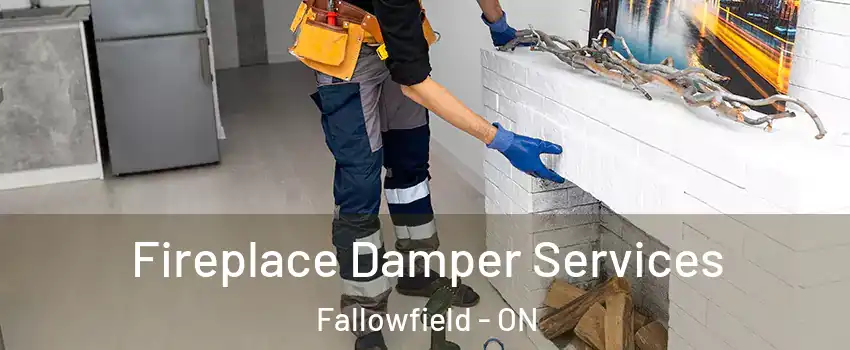  Fireplace Damper Services Fallowfield - ON