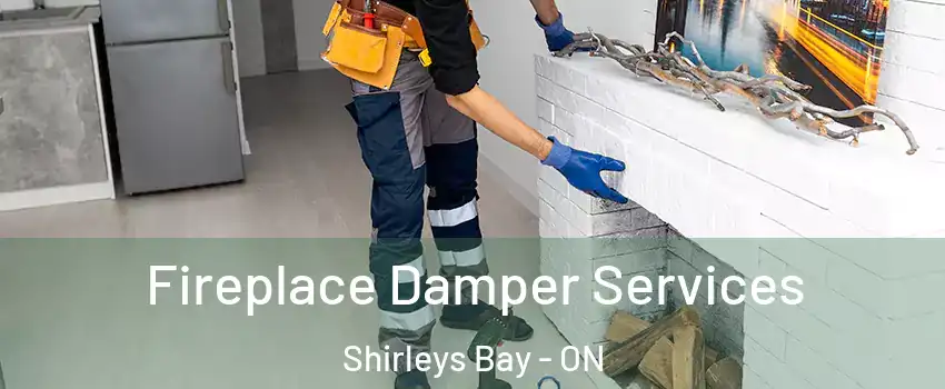  Fireplace Damper Services Shirleys Bay - ON
